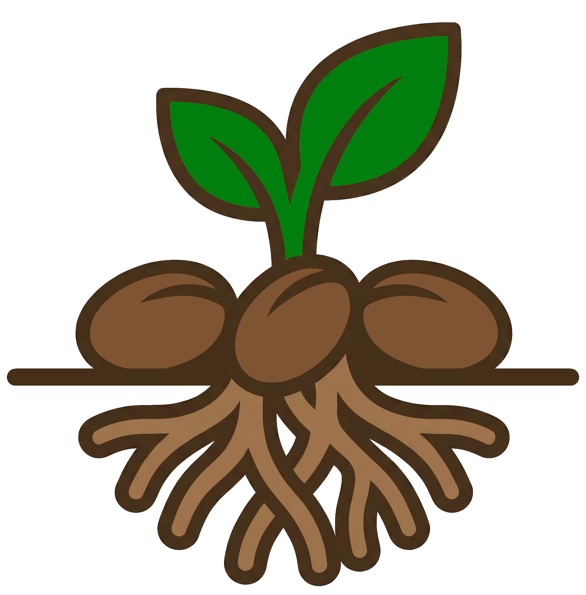 Roots, Seeds & Soil Logo